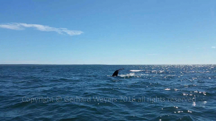 20160902_143221_2075