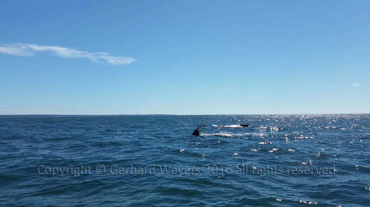 20160902_143221_2091