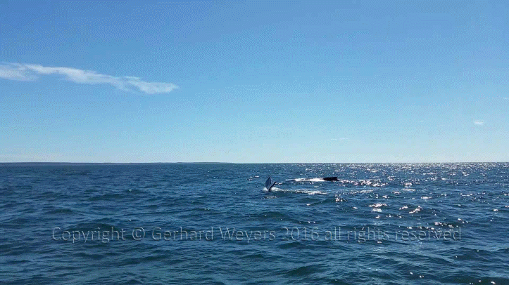 20160902_143221_2107