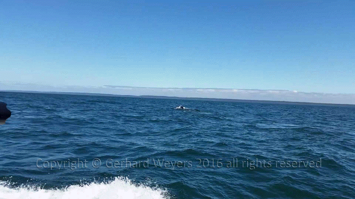 20160902_143805_2774