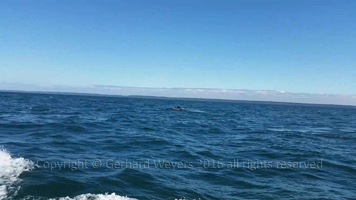 20160902_143805_2802