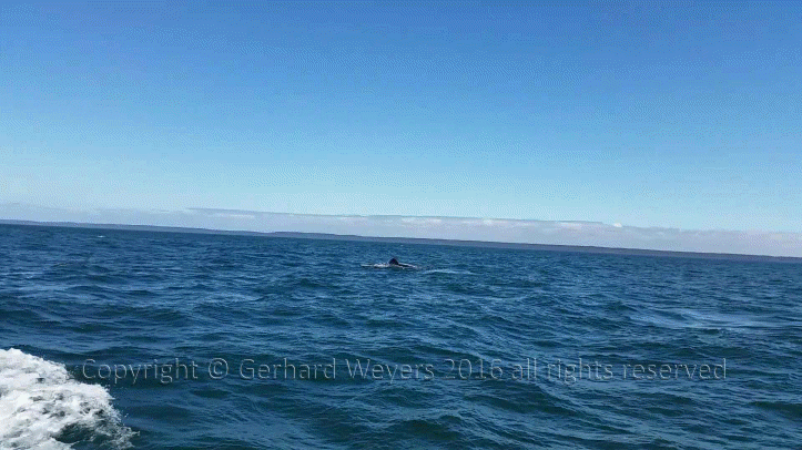 20160902_143805_2816