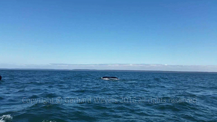 20160902_143805_2844