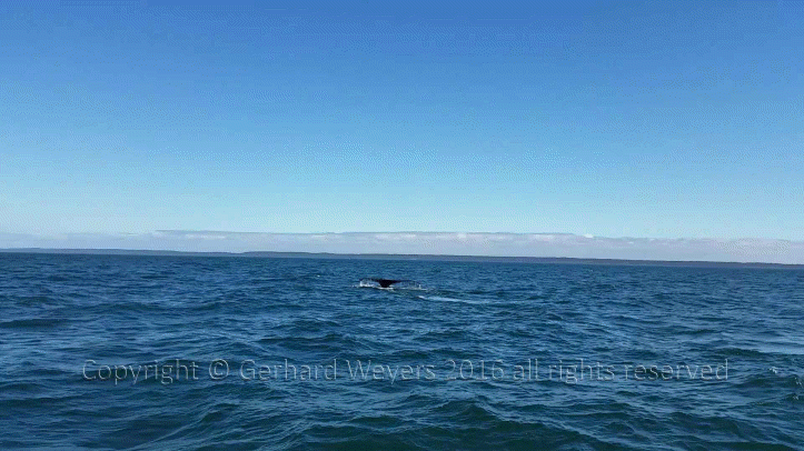 20160902_143805_2858