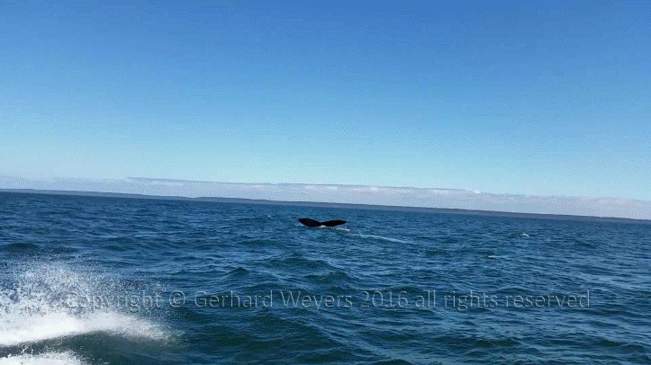 20160902_143805_2872