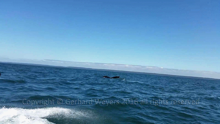 20160902_143805_2886