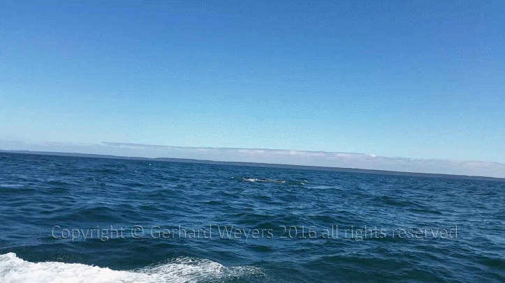 20160902_143805_2900