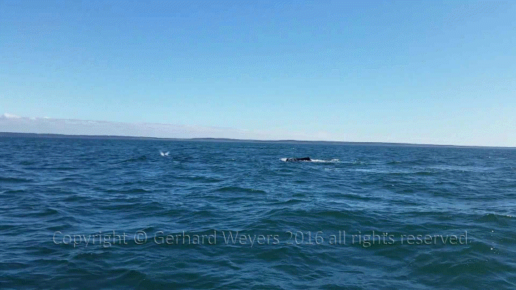 20160902_144223_1012