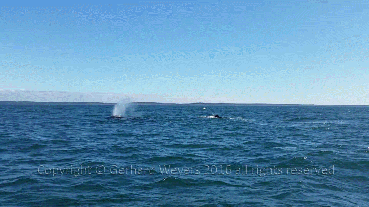 20160902_144223_1033