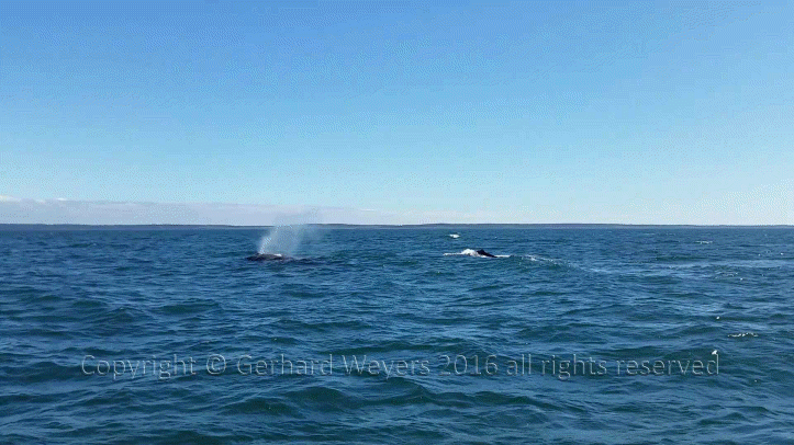 20160902_144223_1040