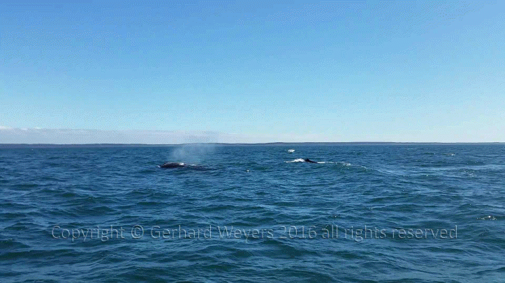 20160902_144223_1047