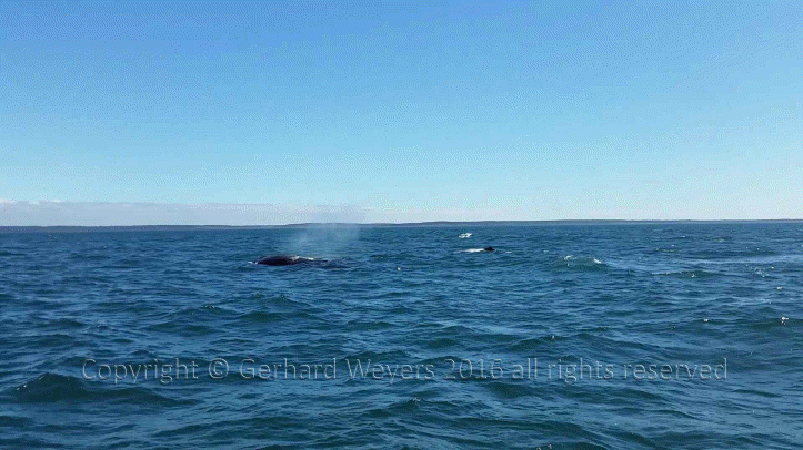 20160902_144223_1054