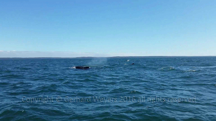 20160902_144223_1068