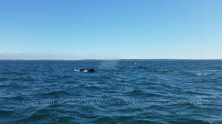 20160902_144223_1075