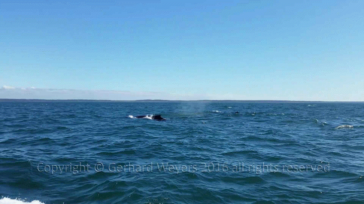 20160902_144223_1082