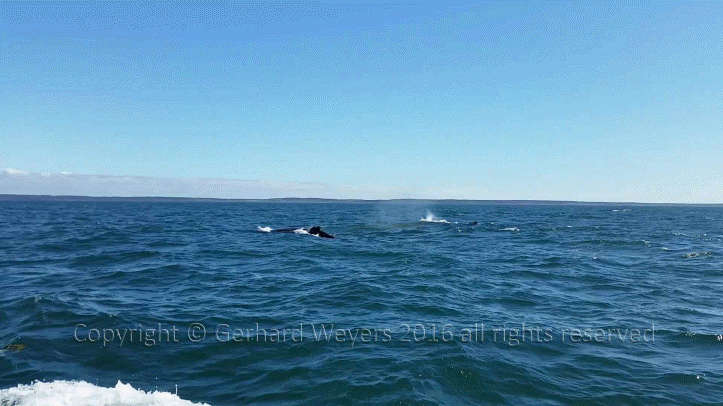 20160902_144223_1089