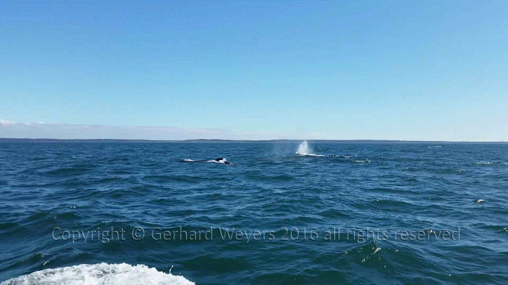 20160902_144223_1096