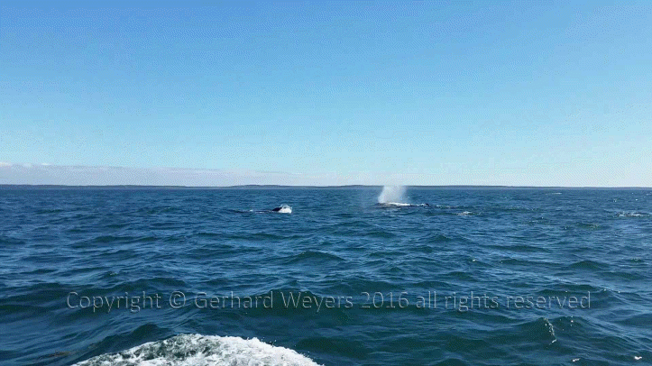 20160902_144223_1103