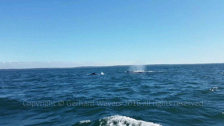 20160902_144223_1117