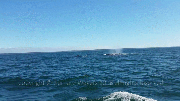 20160902_144223_1124