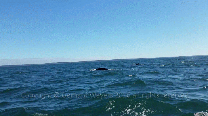 20160902_144223_1327