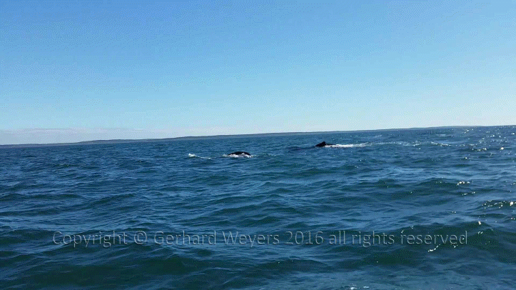 20160902_144223_1355