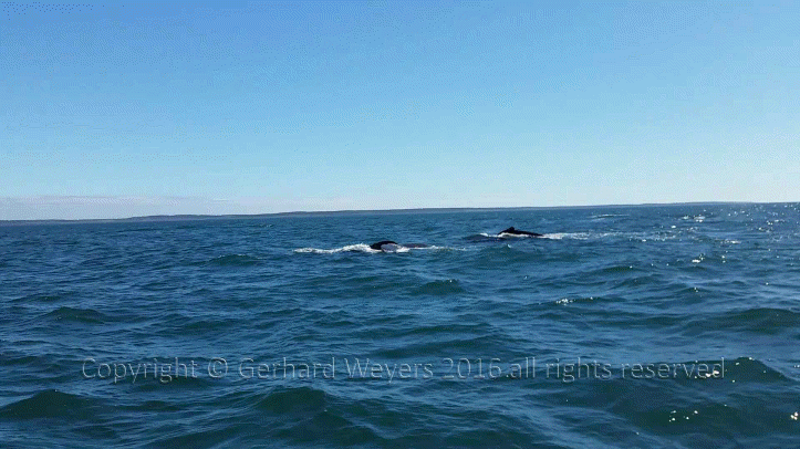 20160902_144223_1369