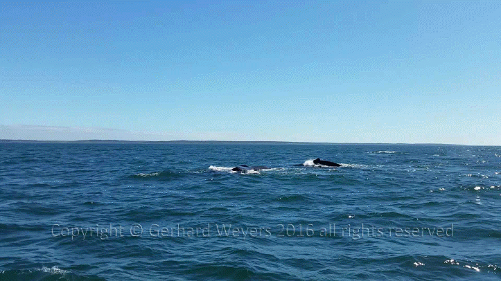 20160902_144223_1383