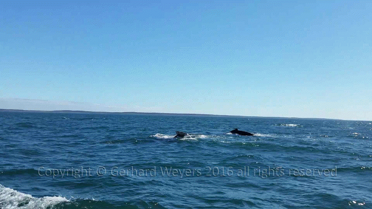 20160902_144223_1397