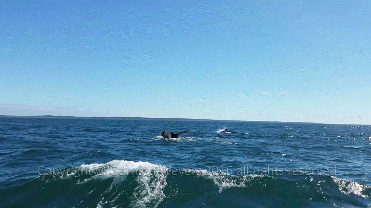 20160902_144223_1425