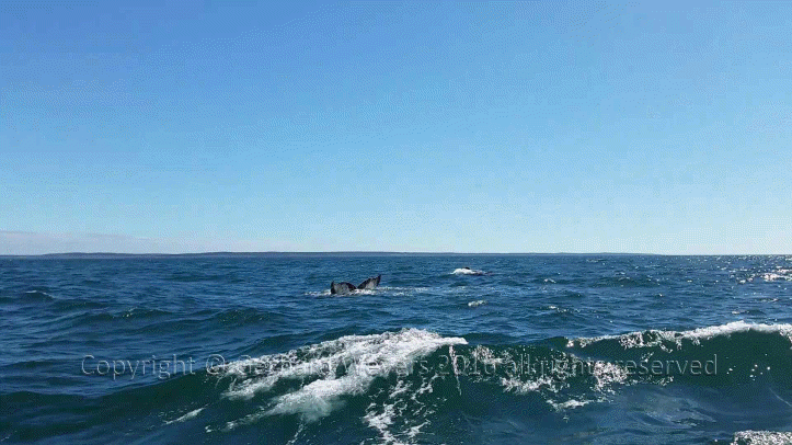 20160902_144223_1439