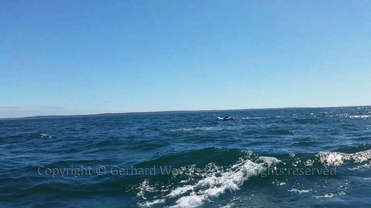 20160902_144223_1453