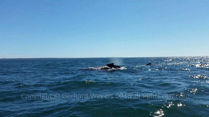 20160902_144223_2118