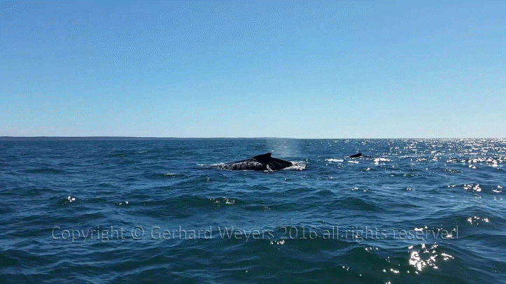 20160902_144223_2125