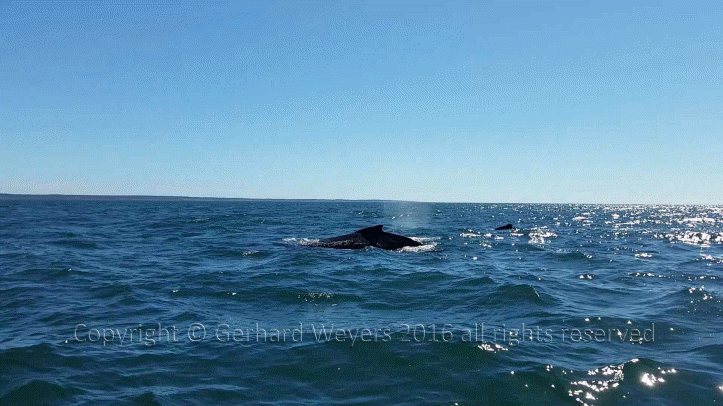 20160902_144223_2132