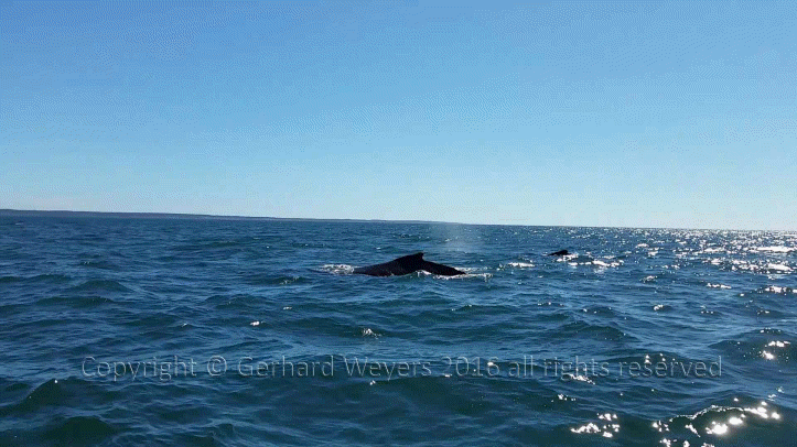 20160902_144223_2139