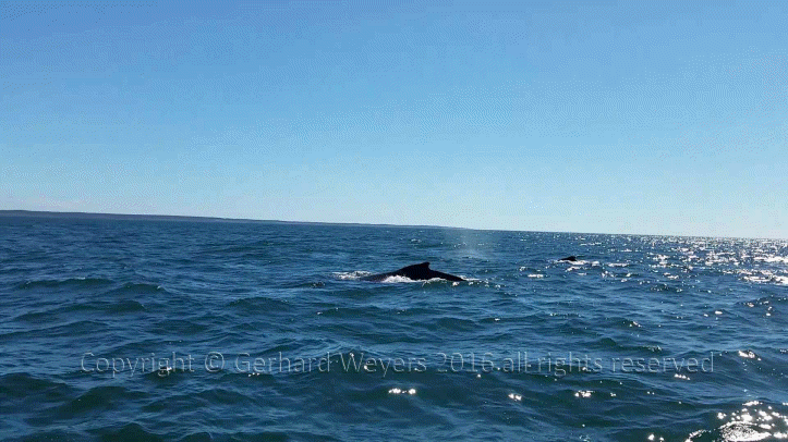 20160902_144223_2146