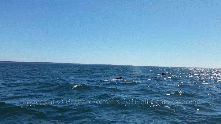 20160902_144223_2160