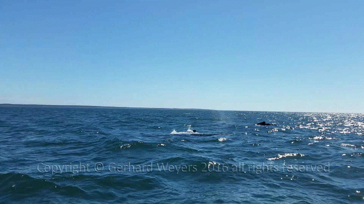 20160902_144223_2167