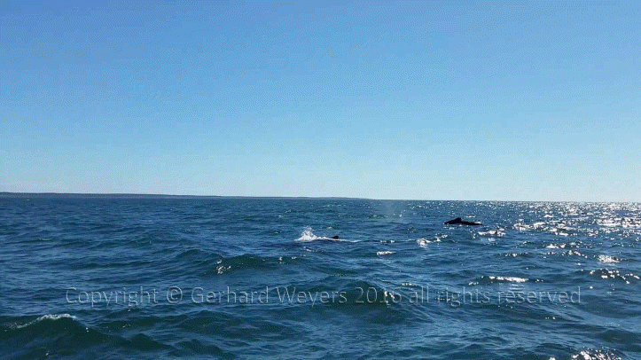 20160902_144223_2174