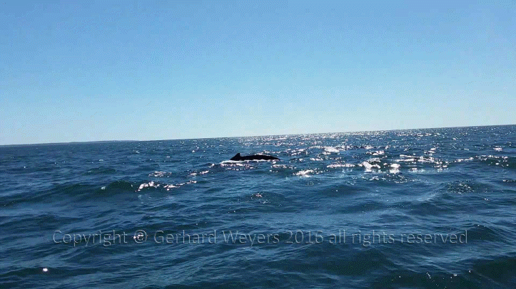 20160902_144223_2779