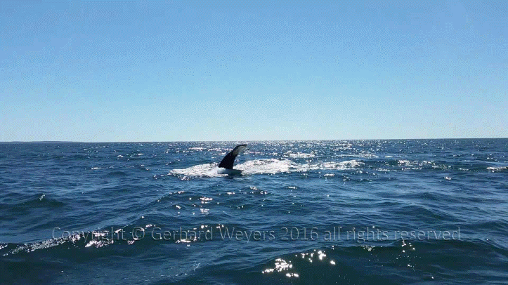 20160902_144223_2849