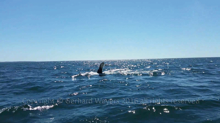 20160902_144223_2863