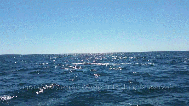 20160902_144223_2891