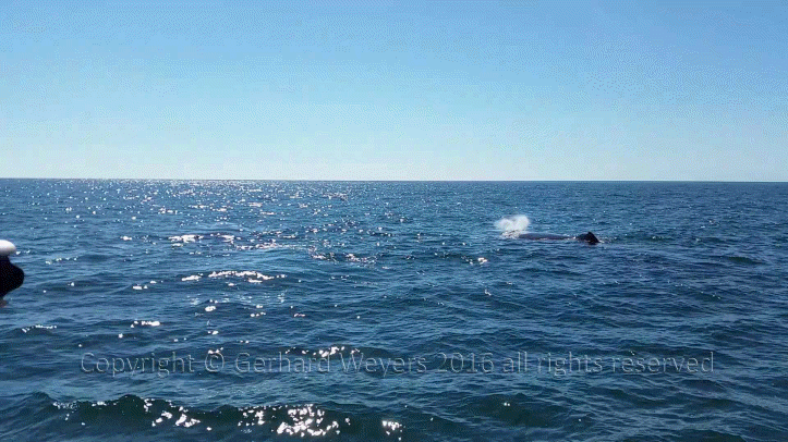 20160902_152558_2299