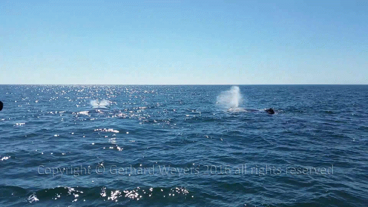 20160902_152558_2306