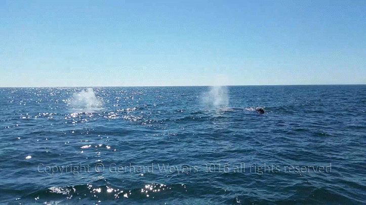 20160902_152558_2313