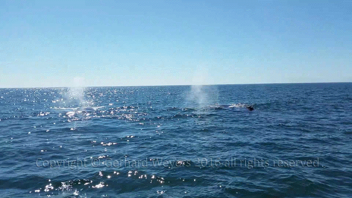 20160902_152558_2320