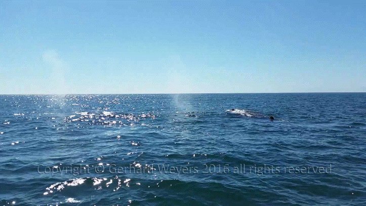 20160902_152558_2348