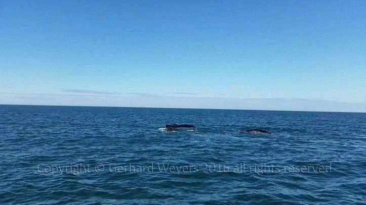 20160902_152558_4807